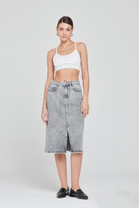 2_5428-1418-07 MIDI SKIRT